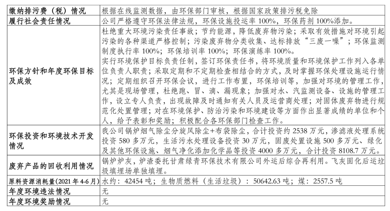 000000000000華西能源張掖生物質(zhì)發(fā)電有限公司環(huán)境信息公開(kāi)表（2021年第二季度）-5.jpg