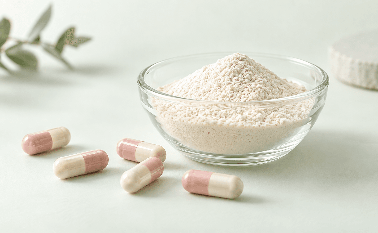 Capsules formulation ingredient concept